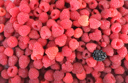 Fresh red berries of ripe raspberries. Raspberries backgroundの写真素材