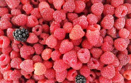 Fresh red berries of ripe raspberries. Raspberries backgroundの写真素材