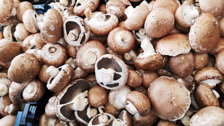 Fresh brown champignons mushrooms as background  close upの写真素材