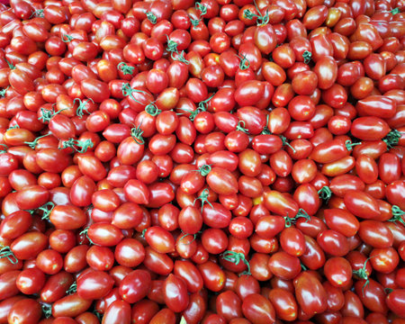 Fresh  red long plum tomatoes as background.の写真素材