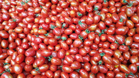 Fresh  cherry tomatoes as backgroundの写真素材