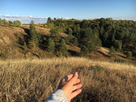 the autumn landscape endless expanses of Ukraineの写真素材