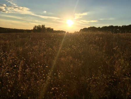 the autumn landscape endless expanses of Ukraineの写真素材