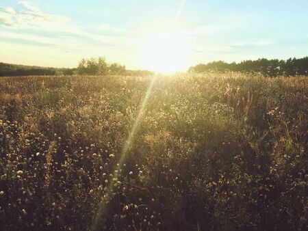 the autumn landscape endless expanses of Ukraineの写真素材