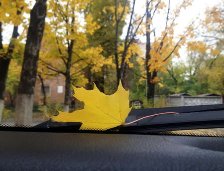 Yellow sheet lies on the car glassの写真素材