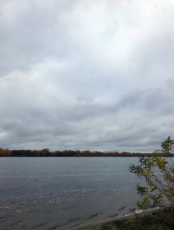 cloudy autumn gray lake in the fogの写真素材