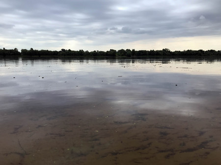 Cloudy morning on the river in early summerの写真素材