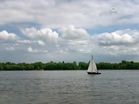 Cloudy morning on the river in early summerの写真素材