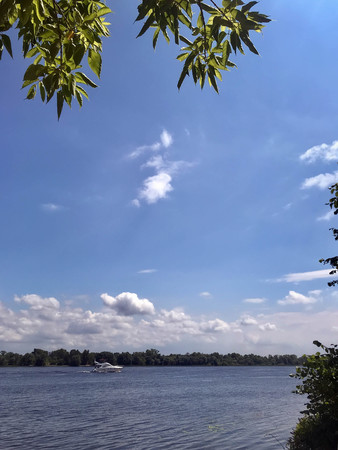 Cloudy morning on the river in early summerの写真素材