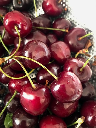 the large juicy red cherry close-up in summerの写真素材