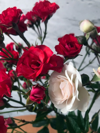 white and red roses in a vase on a tableの写真素材