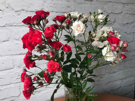 white and red roses in a vase on a tableの写真素材