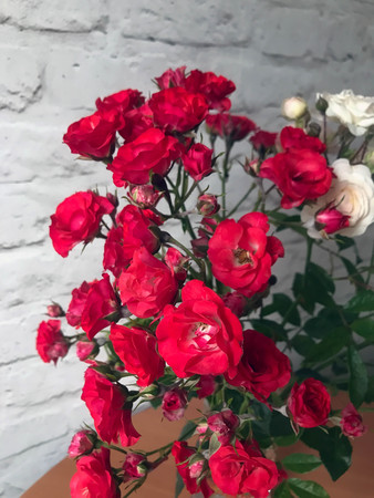 white and red roses in a vase on a tableの写真素材