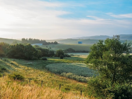 wheat field and blue mountains in summerの写真素材