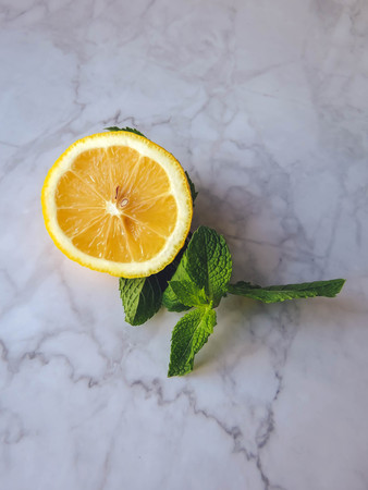 a slice of lemon and sprig of mintの写真素材