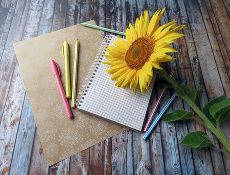 the notebook, pens, pencils and sunflowers on the tableの写真素材