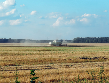 Harvester removes wheat on the field in Julyの写真素材