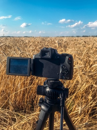 The camera on the tripod in wheat fieldの写真素材