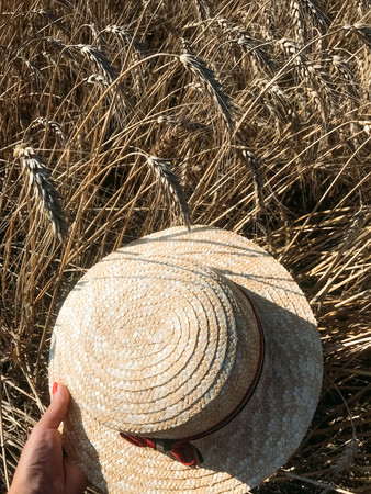 The straw hat in a wheat field in the Sunの写真素材