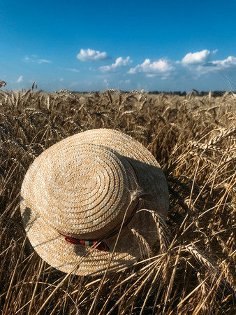 The straw hat in a wheat field in the Sunの写真素材