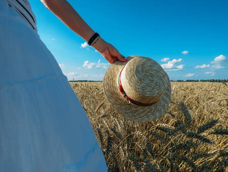The straw hat in a wheat field in the Sunの写真素材
