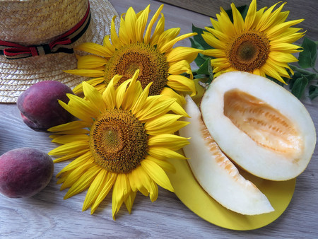 The melon in a plate on a table with sunflowersの写真素材