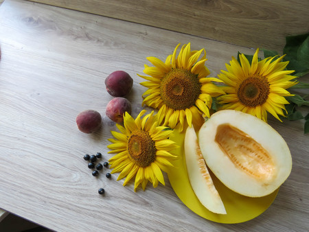 The melon in a plate on a table with sunflowersの写真素材