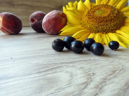 The currant and peaches with sunflowers on the tableの写真素材