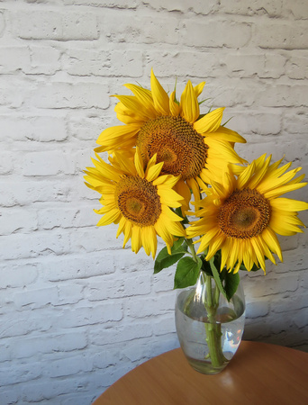 The bouquet of sunflowers in a vase in the kitchenの写真素材