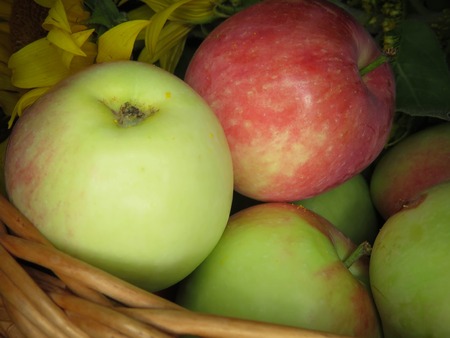 ripe apples in a basket. healthy eating. eco-friendly products. organic fruits. Organic Food. Style Top View Group Objectsの写真素材