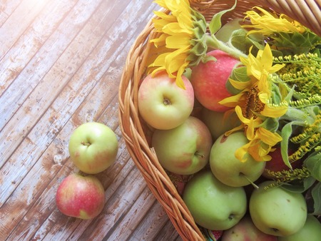 ripe apples in a basket. healthy eating. eco-friendly products. organic fruits. copyspace. Organic Food. Style Top View Group Objectsの写真素材