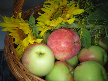 ripe apples in a basket. healthy eating. eco-friendly products. organic fruits. Organic Food. Style Top View Group Objectsの写真素材