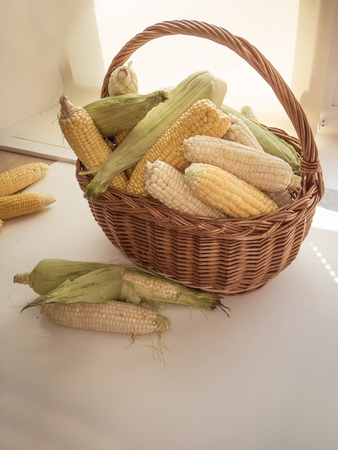 ripe natural corn cobs in a basketの写真素材