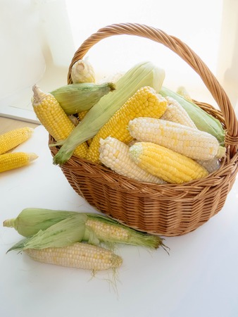 ripe natural corn cobs in a basketの写真素材