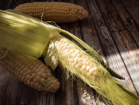 ripe natural corn cobs. . healthy eating. eco-friendly products. Organic Food.の写真素材