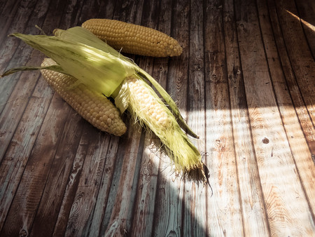 ripe natural corn cobs. . healthy eating. eco-friendly products. Organic Food.の写真素材