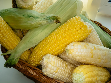 ripe natural corn cobs in a basketの写真素材