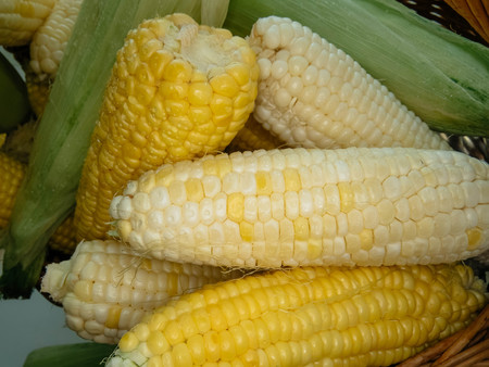 ripe natural corn cobs in a basketの写真素材