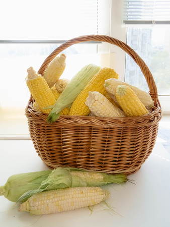 ripe natural corn cobs in a basketの写真素材
