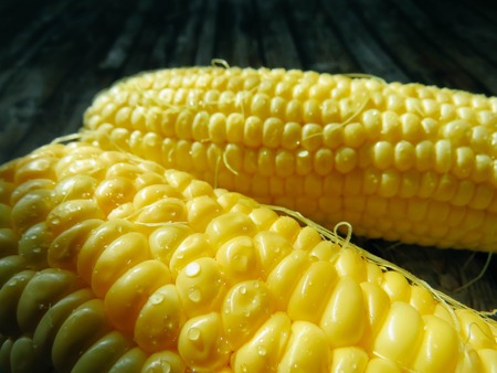 ripe natural corn cobs. healthy eating. eco-friendly products. Organic Food. Style Top View Group Objectsの写真素材
