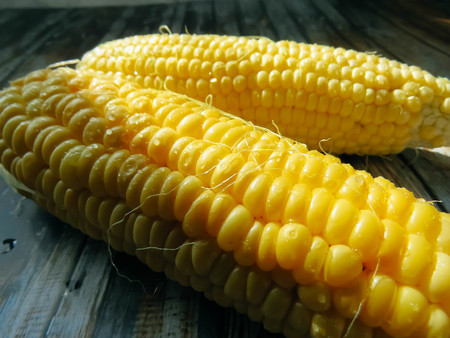 ripe natural corn cobs. healthy eating. eco-friendly products. Organic Food. Style Top View Group Objectsの写真素材