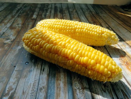 ripe natural corn cobs. healthy eating. eco-friendly products. Organic Food. Style Top View Group Objectsの写真素材
