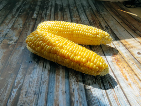 ripe natural corn cobs. healthy eating. eco-friendly products. Organic Food. Style Top View Group Objectsの写真素材