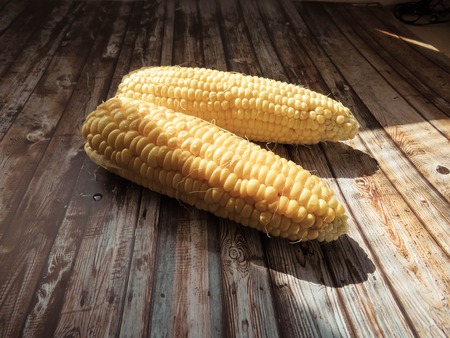 ripe natural corn cobs. healthy eating. eco-friendly products. Organic Food. Style Top View Group Objectsの写真素材