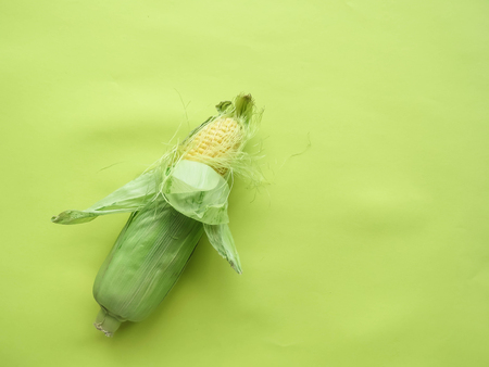 ripe natural corn cobs. healthy eating. eco-friendly products. Organic Food. Style Top Viewの写真素材