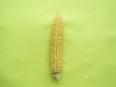 ripe natural corn cobs. healthy eating. eco-friendly products. Organic Food. Style Top Viewの写真素材