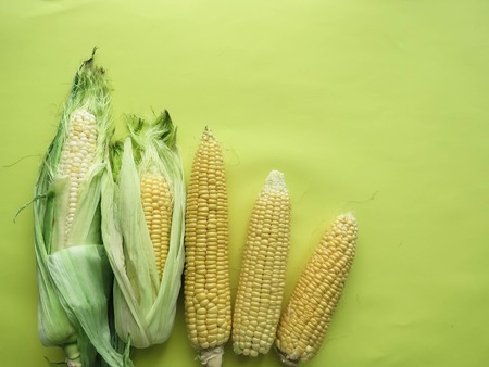 ripe natural corn cobs. healthy eating. eco-friendly products. Organic Food. Style Top View Group Objects. copy spaseの写真素材