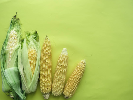 ripe natural corn cobs. healthy eating. eco-friendly products. Organic Food. Style Top View Group Objects. copy spaseの写真素材