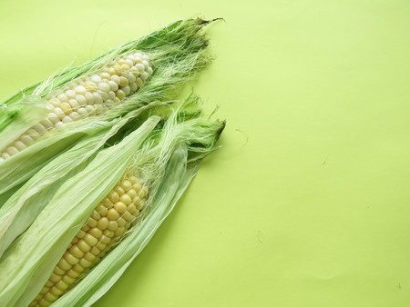 ripe natural corn cobs. healthy eating. eco-friendly products. Organic Food. Style Top View Group Objects. copy spaseの写真素材