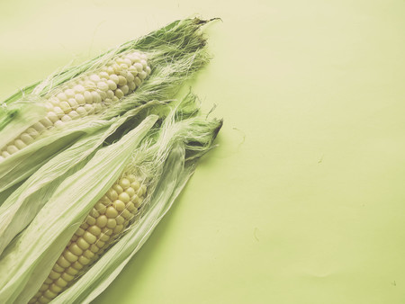 ripe natural corn cobs. healthy eating. eco-friendly products. Organic Food. Style Top View Group Objects. copy spaseの写真素材